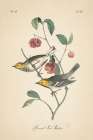 Vintage Warbler IV Art Print