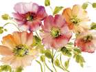 Autumn Poppies Art Print