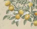 Lemon Branch Neutral Art Print