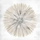 Natures Pinwheel I Texture Art Print