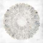 Natures Pinwheel II Texture Art Print