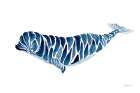 Beluga Whale Art Print