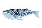 Humpback Whale Art Print