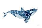 Killer Whale Art Print