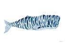 Sperm Whale Art Print