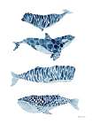 Whales Art Print