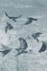 Migration Blue Panel II Art Print