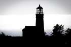 Lighthouse Forest Art Print
