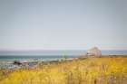 Rocky Coast Days Art Print