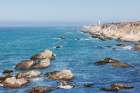 California Lighthouse Art Print