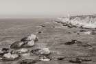 California Lighthouse BW Art Print
