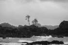 Black Rock Coast I Art Print