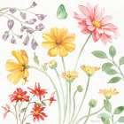 Soft Meadow II Art Print