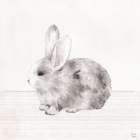 Little Animals II Art Print
