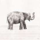 Little Animals III Art Print
