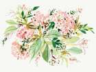 Blushing Bouquet Art Print