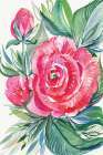 Red Beauty Art Print