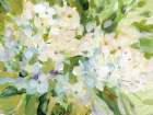 Hydrangea Joy Art Print