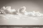Venice Beach BW Art Print