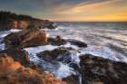 Shore Acres Art Print