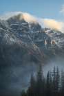 Mount Tupper View Art Print