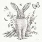Garden Patch III Sketch Art Print