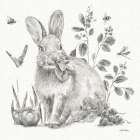 Garden Patch IV Sketch Art Print