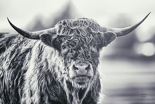 Highland Cow Pastures II Art Print
