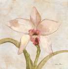 Orchid I Art Print