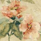 Provence Rose Crop I Art Print