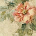 Provence Rose Crop II Art Print