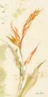 Tropical Floral I Light Art Print