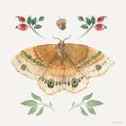 Forest Finds II Art Print