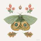 Forest Finds III Art Print