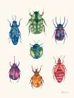 Beetle Chart Art Print