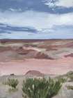 Petrified Forest Art Print