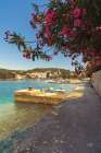 Beauty of Croatia Art Print
