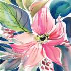 Floral Burst I Art Print