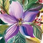 Floral Burst II Art Print