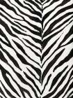 Animal Print I Art Print
