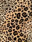 Animal Print II Art Print