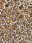 Animal Print IV Art Print