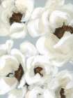 Cafe Aulait Art Print