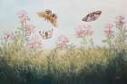 Fallow Field Art Print