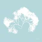 Seaweed III Art Print