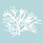 Seaweed IV Art Print