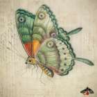 Vintage Aqua Butterfly Art Print