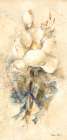 Magnolia with Ribbon Bright Crop Art Print