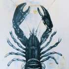 Blue Lobster Art Print