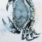 Blue Crab Art Print